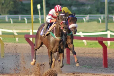 Turf: Smile Cat será la figura en el cotejo central