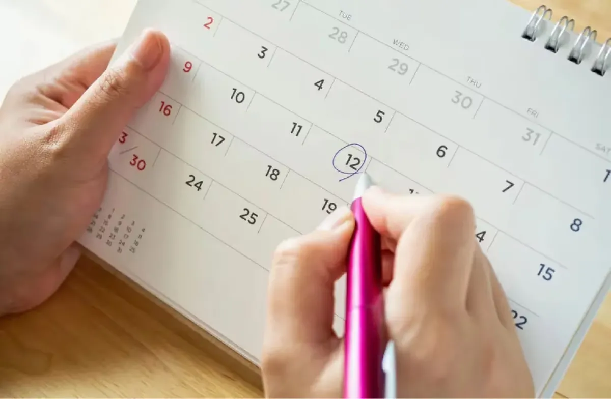 Feriados en Marzo de 2024