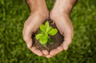 Plantfulness: conocé la técnica de meditación que ayuda a combatir la ansiedad