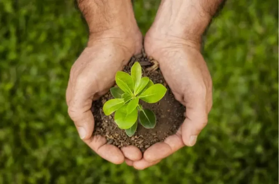 Plantfulness: conocé la técnica de meditación que ayuda a combatir la ansiedad