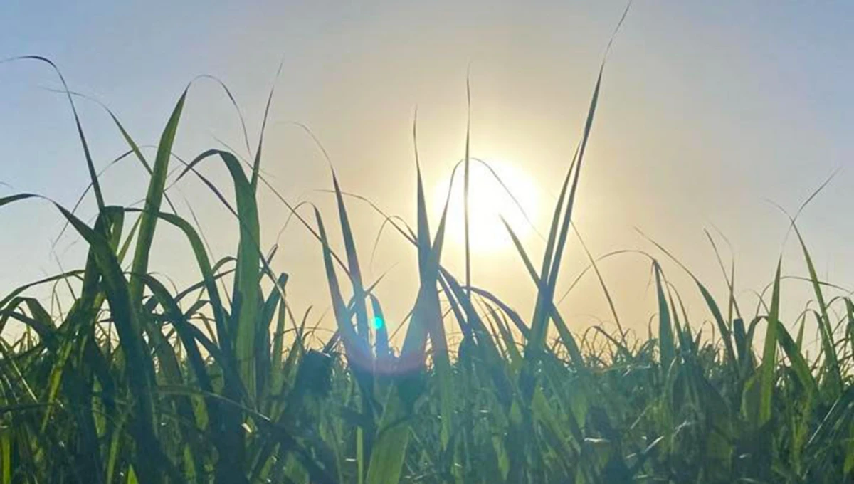 ATARDECER. Ayer, de vuelta, un relato real.