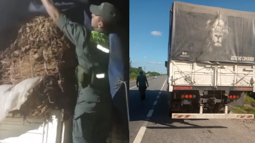 TABACO. Los camiones circulaban sin la documentación correspondiente. FOTO GENDARMERÍA