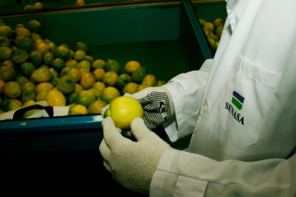 Dictarán un curso de inspección de empaques cítricos