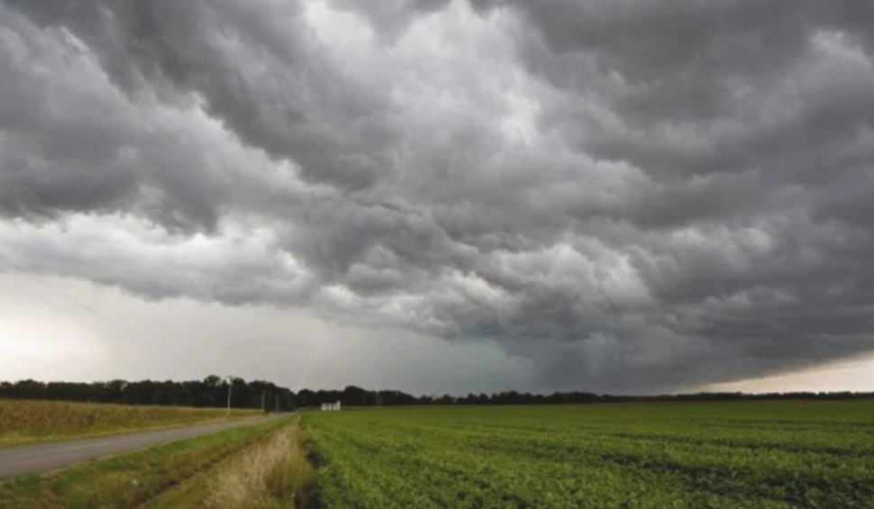 Más lluvia y menos calor trajeron buenas perspectivas