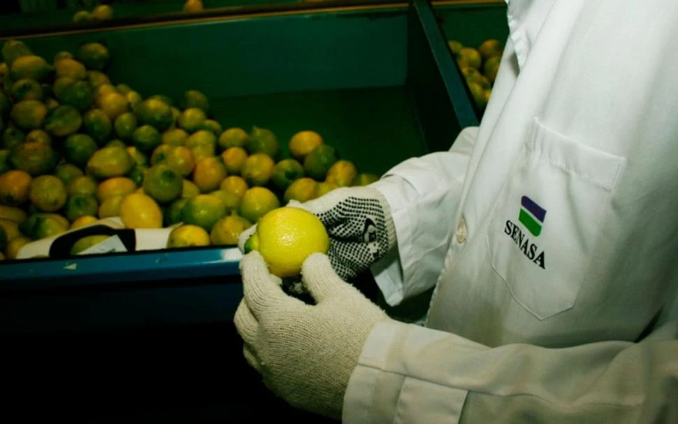 Dictarán un curso de inspección de empaques cítricos