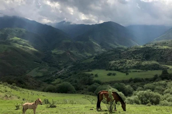 Estudian una nueva ruta a los Valles desde El Siambón