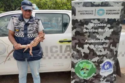 Tafí Viejo: rescatan una iguana hallada por vecinos