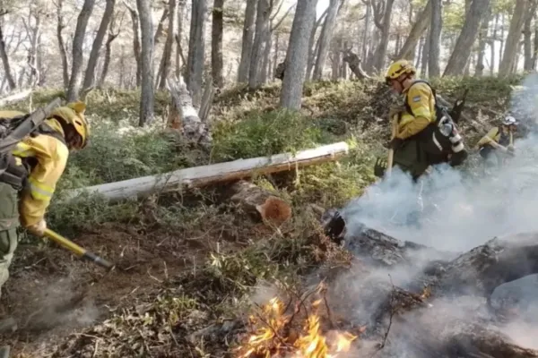 Después de 26 días, lograron controlar el incendio en el Parque Nacional Los Alerces