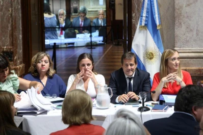 Un senador libertario presidirá la Bicameral que analizará el DNU