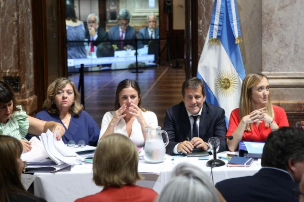 Un senador libertario presidirá la Bicameral que analizará el DNU