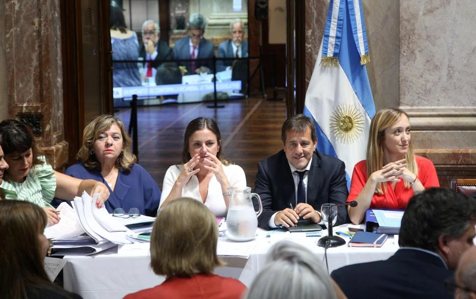 “MEGADECRETO”. La Comisión BIcameral tuvo ayer su primera sesión para tratar la validez del DNU de Milei. 