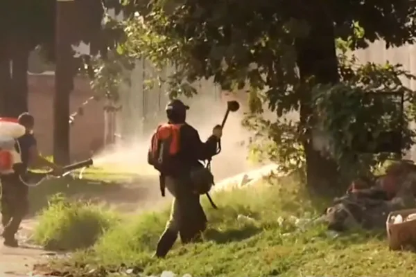 Cómo impacta el dengue en Yerba Buena