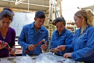 Potenciar Trabajo: cómo será la distribución de los beneficiarios en Volver al Trabajo y Acompañamiento Social