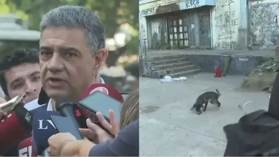 Apareció una rata en plena entrevista de Jorge Macri