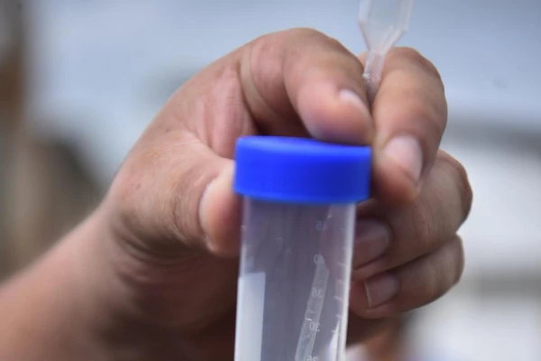 Epidemia en Tucumán: El dengue fue como un veneno; le causó la muerte muy rápido