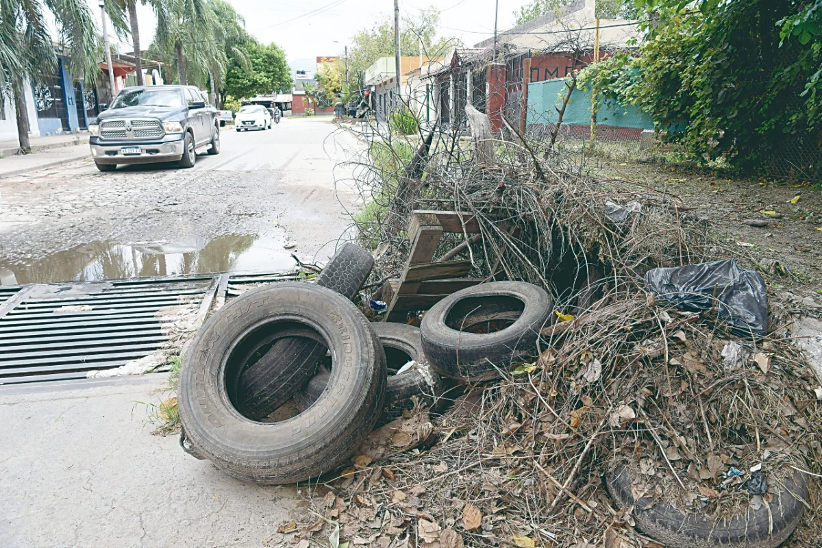 Vivir con miedo al mosquito: el dengue se expande en El Manantial