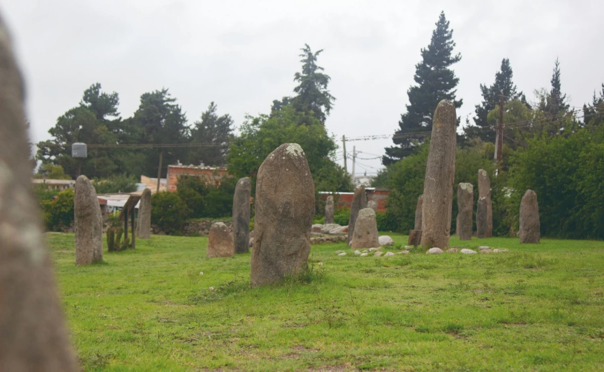 Cartas de Lectores I: proyecto en el mollar