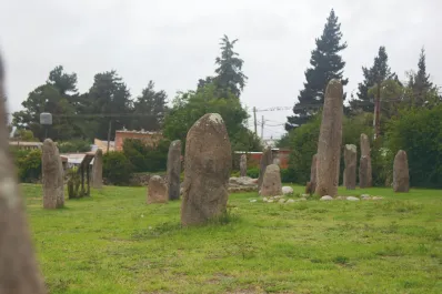 Cartas de Lectores I: proyecto en el mollar