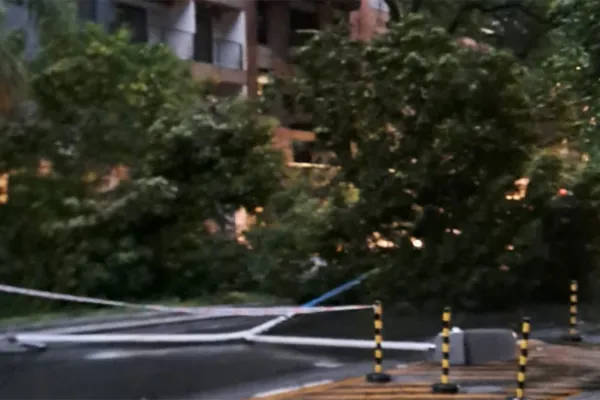 Más de 50 milímetros de lluvia y caídas de árboles: el saldo en la capital