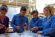 Potenciar Trabajo: la Justicia pide 1.000 legajos de estatales