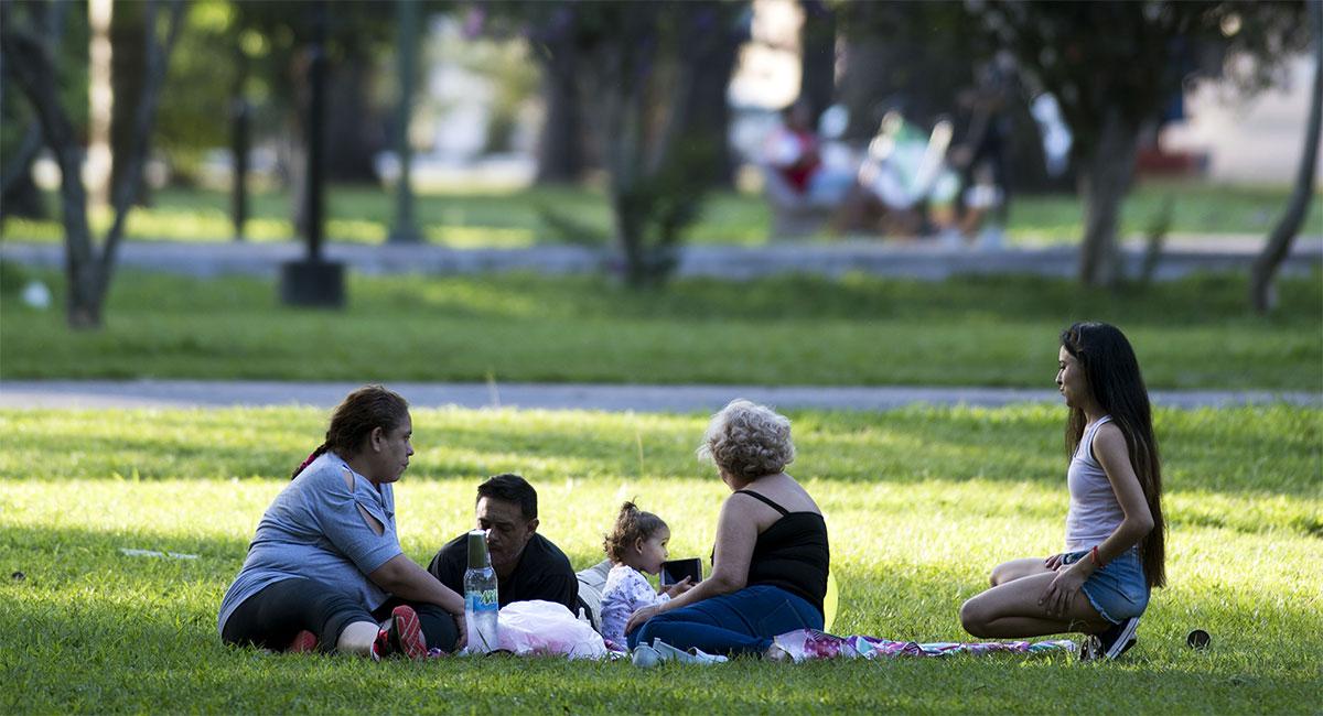 AL AIRE LIBRE. Ideal disfrutar de los espacios verdes del parque 9 de Julio.