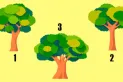 Test de personalidad: elegí un árbol y descubrí qué tan sincero sos en tus relaciones