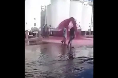 Mendoza: se perdieron 15.000 litros de vino en una bodega