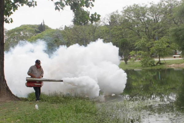 Epidemia de dengue en Tucumán: ¿alcanza con el descacharrado y con la fumigación?