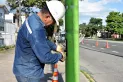 Reponen luminarias en la avenida Mate de Luna tras el robo de cables