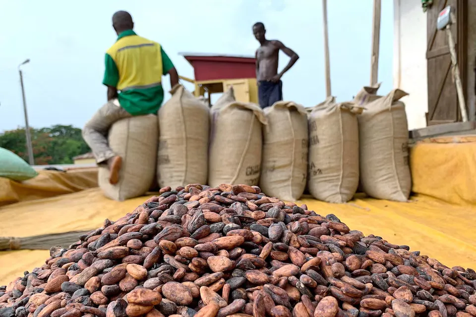 El precio del chocolate se disparará en todo el mundo