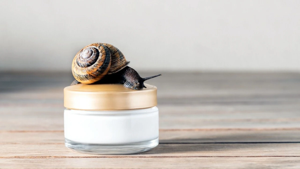 Baba de caracol: la mucosa que rejuvenece la piel y aumenta el colágeno