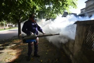 Video: Salud alerta sobre la persistencia del dengue en Tucumán y explica por qué la vacuna es clave