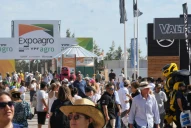 Exposiciones: el campo muestra lo que es