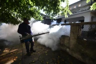 Dengue: “estamos muy lejos de controlar la enfermedad”