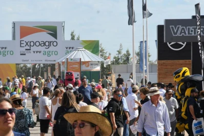 Exposiciones: el campo muestra lo que es