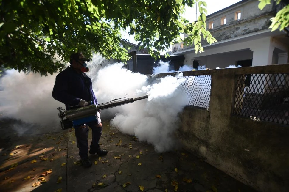 LIMPIEZA DE PATIOS. Los agentes sanitarios revisan los fondos de la viviendas para eliminar los recipientes. 