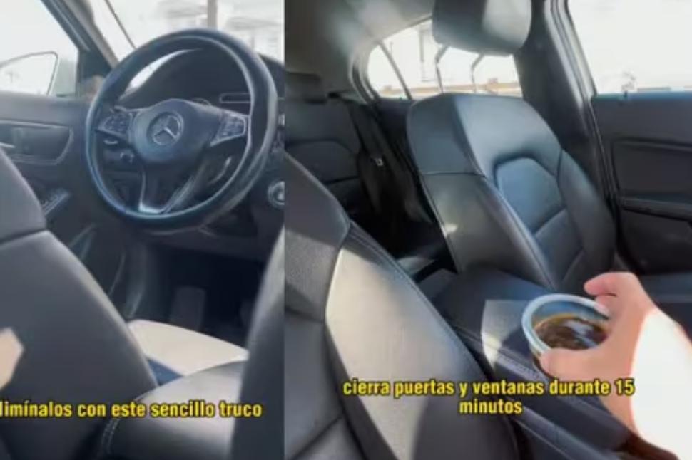 Conocé el truco para sacar el olor a humedad de los autos: “Solo 15 minutos”