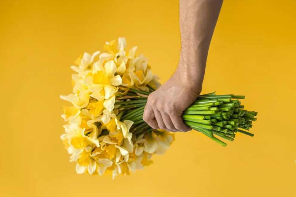 Las fanáticas de la novela esperan un ramo de flores amarillas hoy