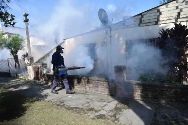 En los casos graves, el dengue puede afectar el corazón