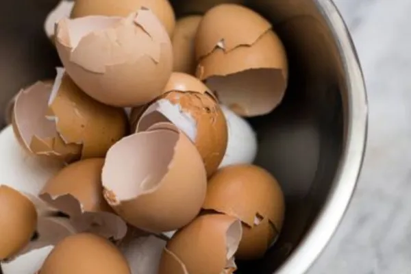 Cómo consumir la cáscara de huevo para aprovechar sus nutrientes y proteger los huesos