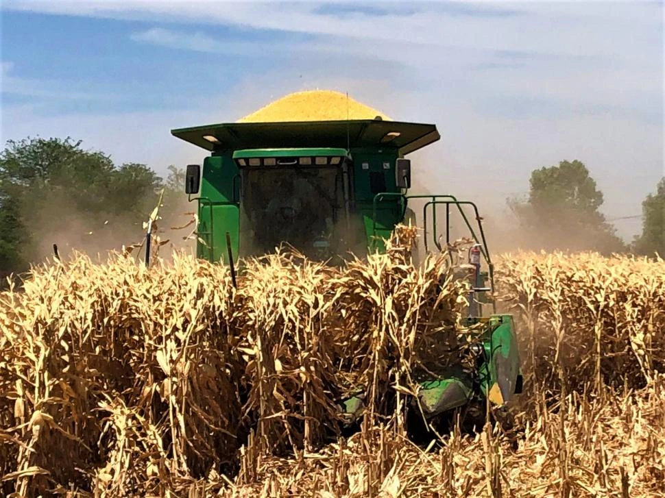 EXPECTATIVAS. En líneas generales, los productores esperan buenos resultados en las cosechas de soja y de maíz.