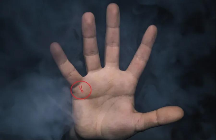 La línea de los hijos se ubica bajo el dedo meñique y arriba de la línea del matrimonio. Foto: Gabriel Ramos/Unsplash