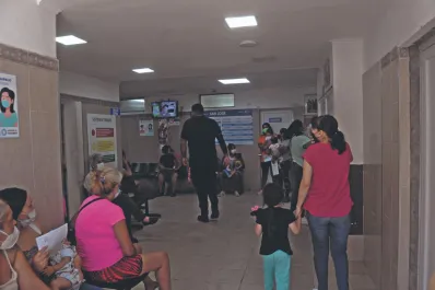 Video: El 25% de los pacientes internados en el sector privado tiene dengue