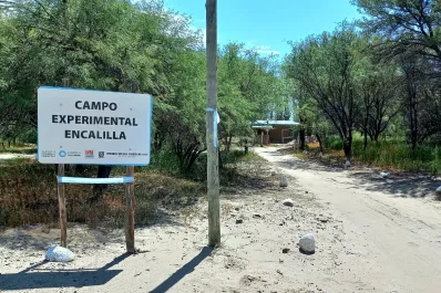 Campo Experimental Encalilla: nuevas propuestas para potenciar sus beneficios productivos y ambientales