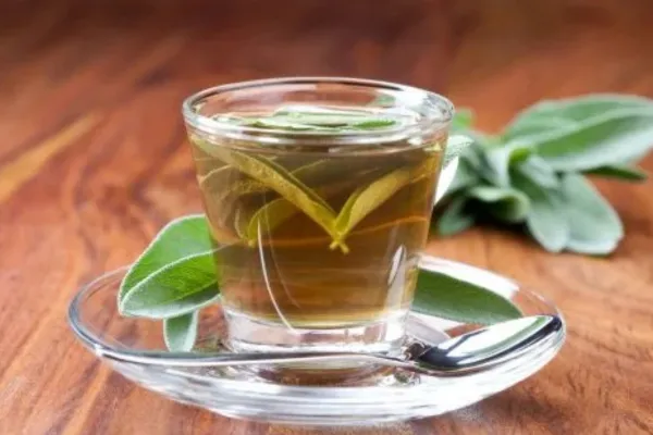 Conocé el té que ayuda a mejorar la memoria, estimula la concentración y protege el cerebro