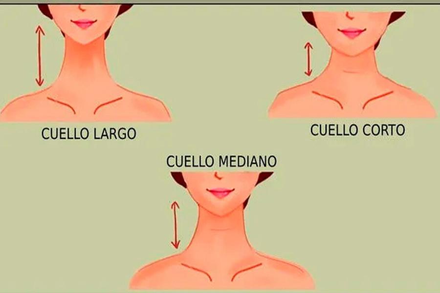 Test viral: la forma de tu cuello muestras rasgos ocultos de tu personalidad