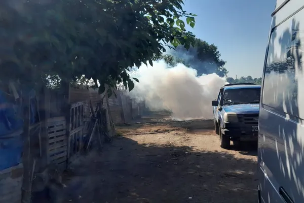 El brote de dengue, sin freno: Argentina alcanzó los 180.000 casos