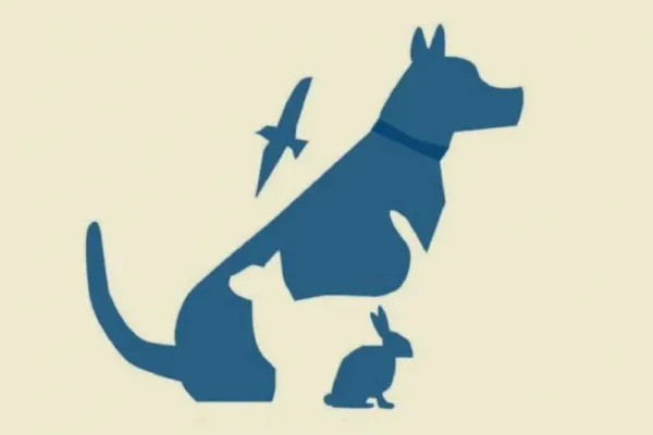 Test de personalidad: eligí un animal y descubrí qué tan inteligente sos