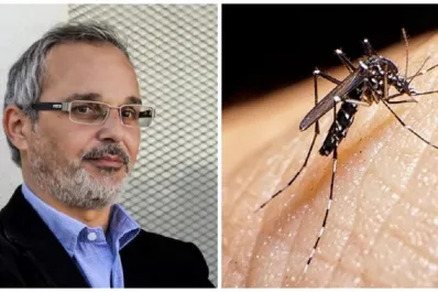 Dengue: el ministro de Salud explicó por qué faltan repelentes y cuándo se resolverá la escasez