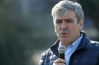 Legisladores radicales cruzaron a Benegas Lynch por sus dichos sobre la educación obligatoria